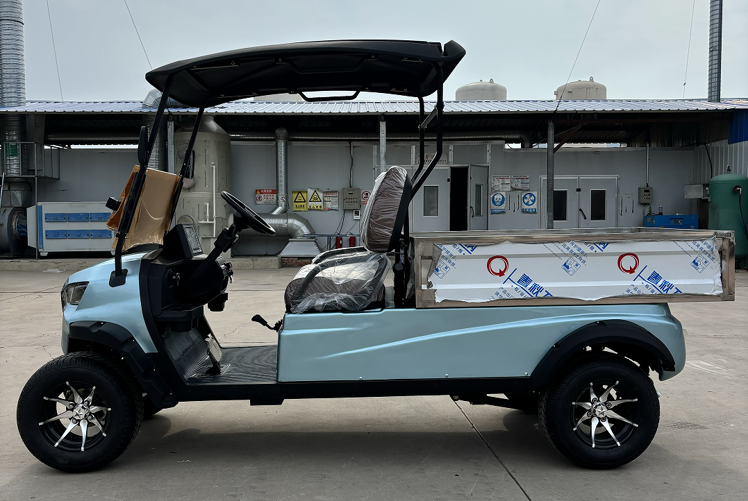 WELIFTRICH 5-6 Seater 72V Fully Waterproof Battery Operated Utility Cart Dump Cargo Bed Electric Golf Cart