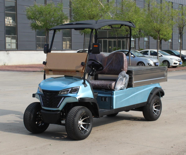 Sharefer 2 Passengers Buggy Utility Vehicle for Sale With Price Cargo Box Trolley Electric Golf Carts
