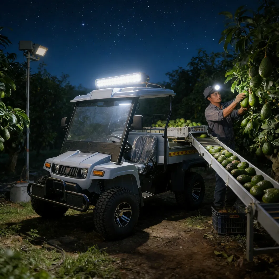 2 Seater Battery Powered 4 Wheel Utility UTV Vehicle