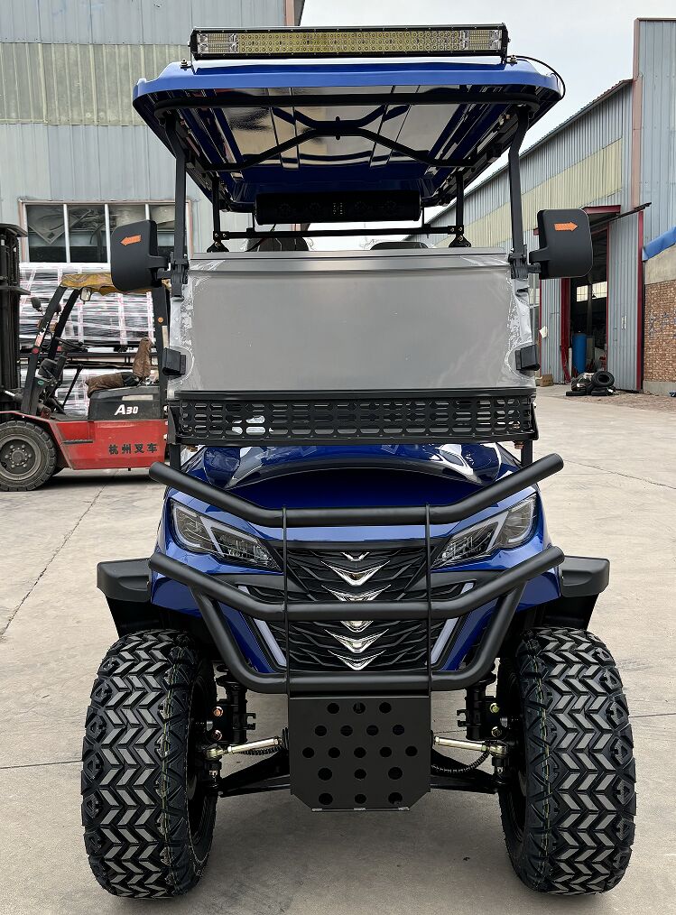 Electric Cart Rear View