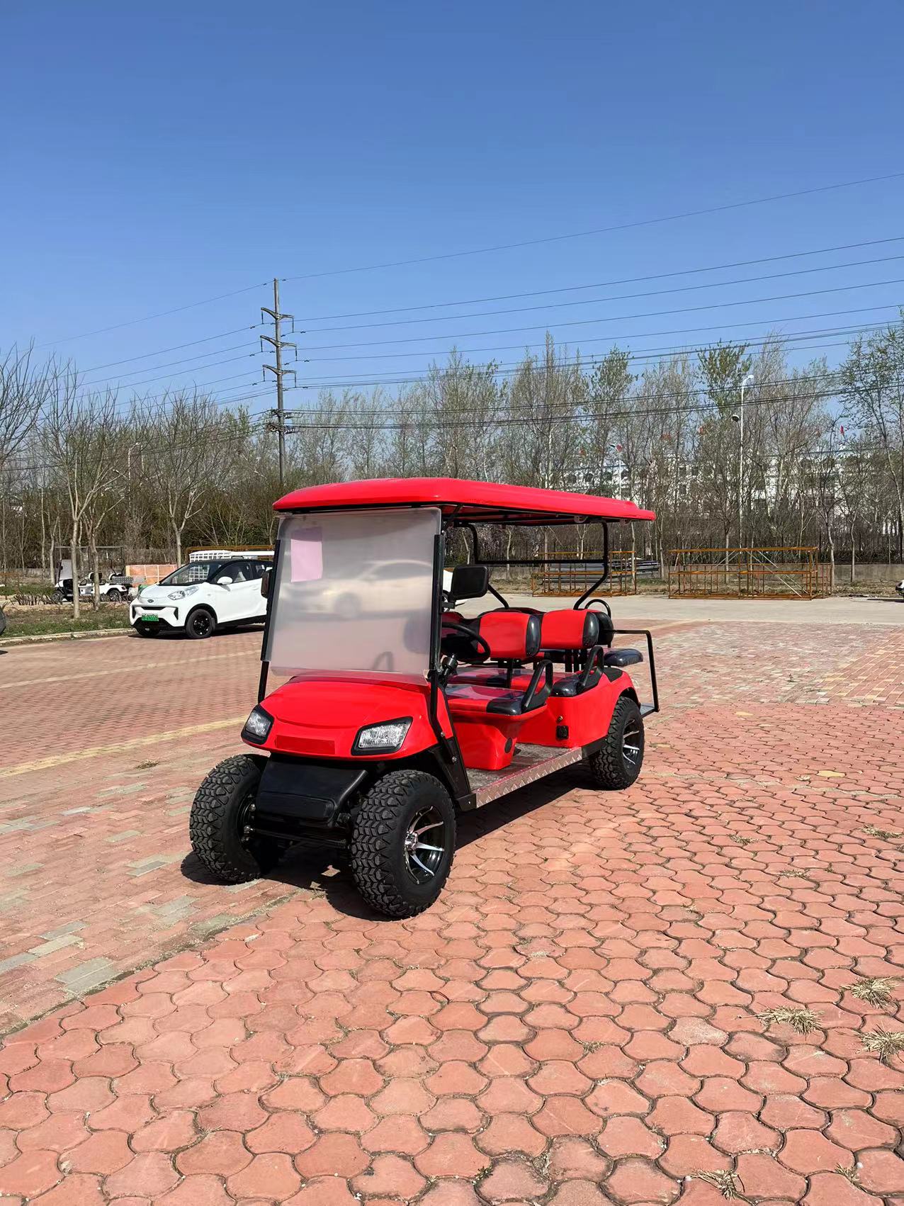 4+2 Seats ELECTRIC GOLF CARTS 6 Seaters 6 Passenger Electric Golf Cart 4 Wheel Drive Golf Cart