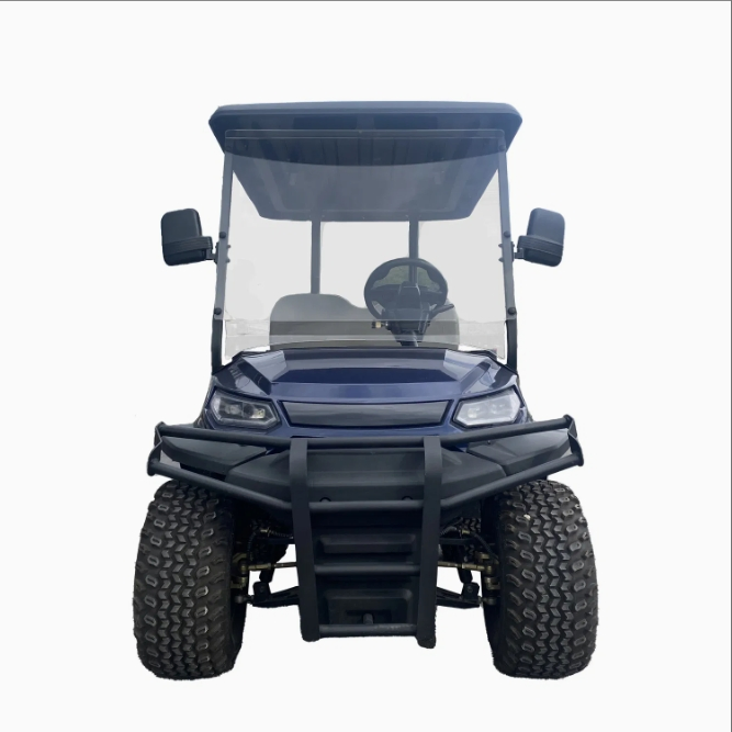 Luxury 6-Seater Electric Car Design Electric Golf Cart with CE Certified