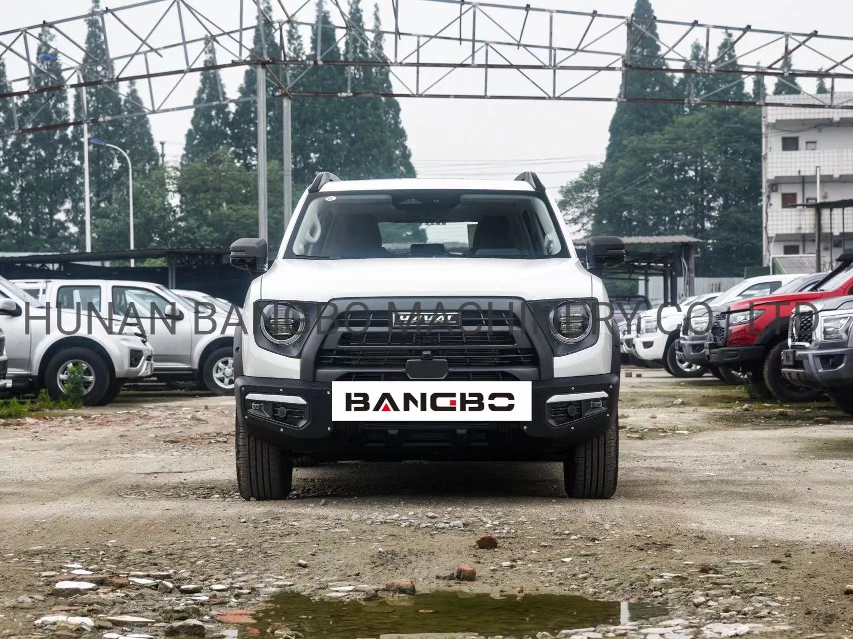 Haval Dargo Cheap Price Utility Classic Small Car Micro SUV Sedan Vehicle