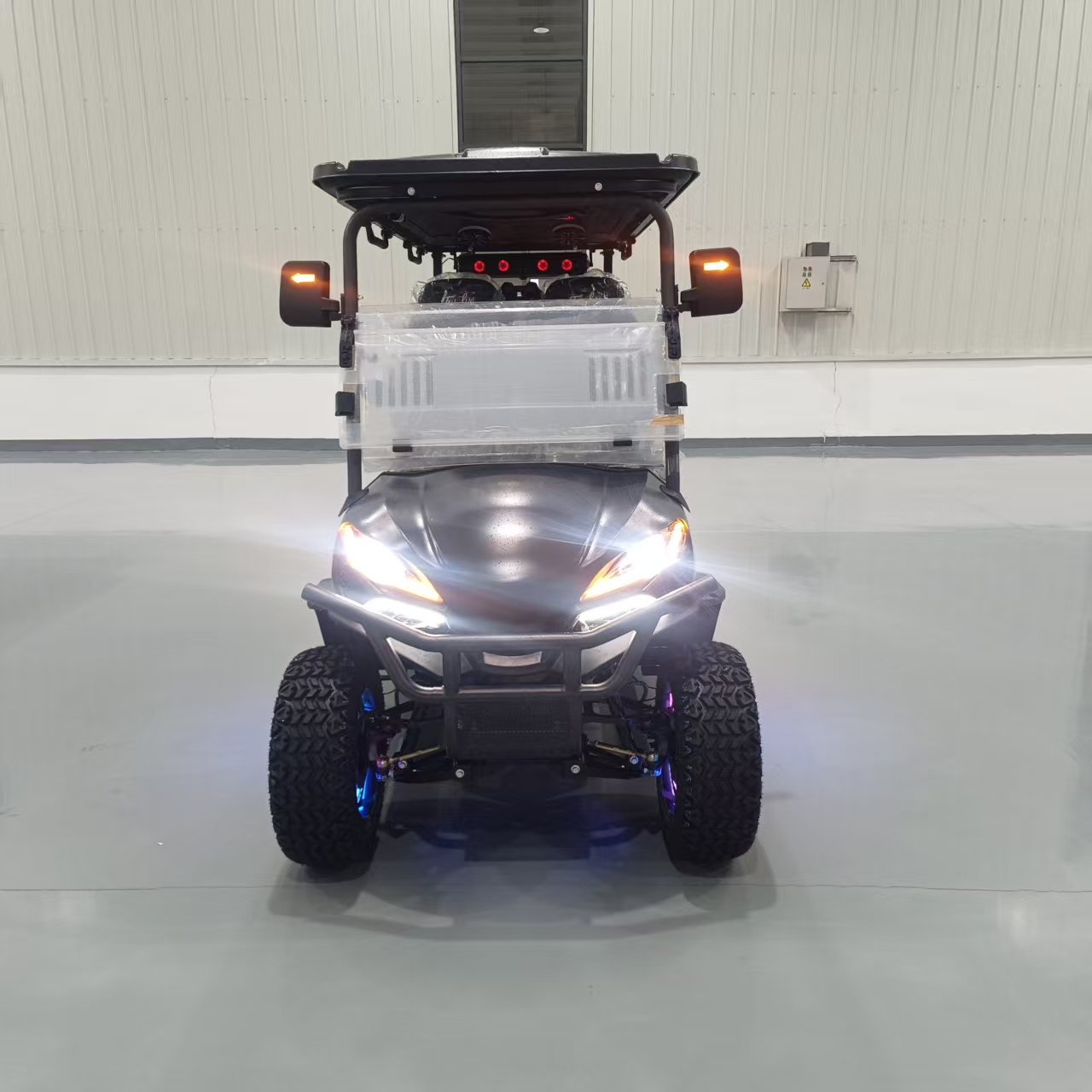 Electric Off-road Golf Cart