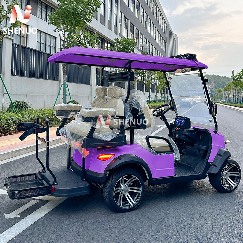 Certified Commercial Enclosure System Gas Powered Golf Cart Enclosed for Winter Resort Transport Fleets