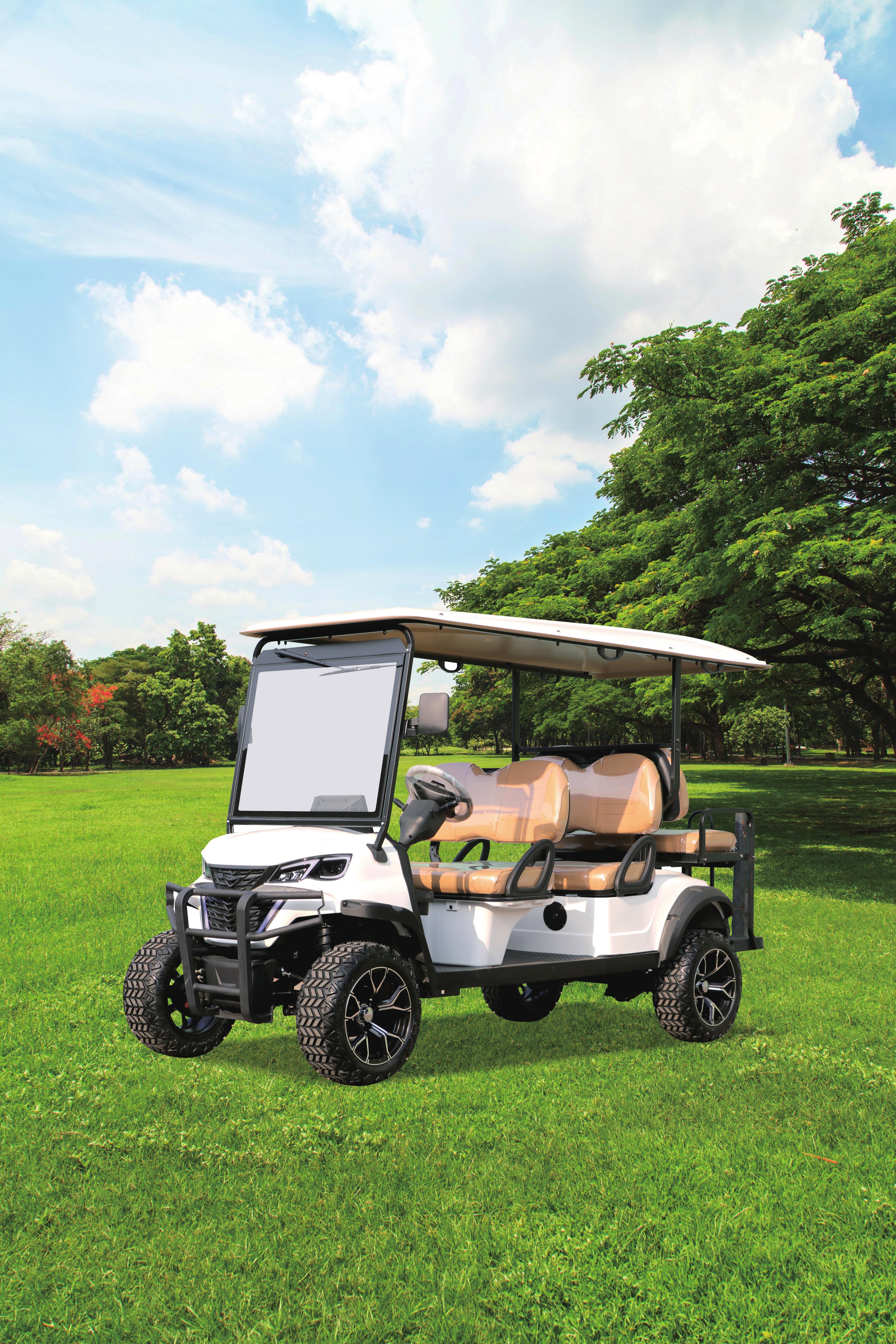 Custom golf cart design style 1