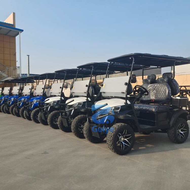 Premium Custom Electric Off-Road Golf Cart Customized Professional Design Mini Electric Golf Cart for Outdoor Golf Play
