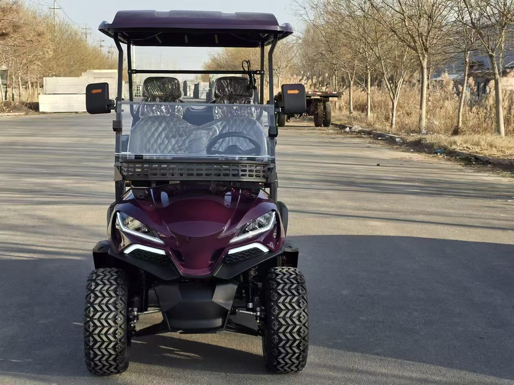 Customized Golf Cart with Standing Position Golf Lithium Battery Chinese Off-road Golf Carts