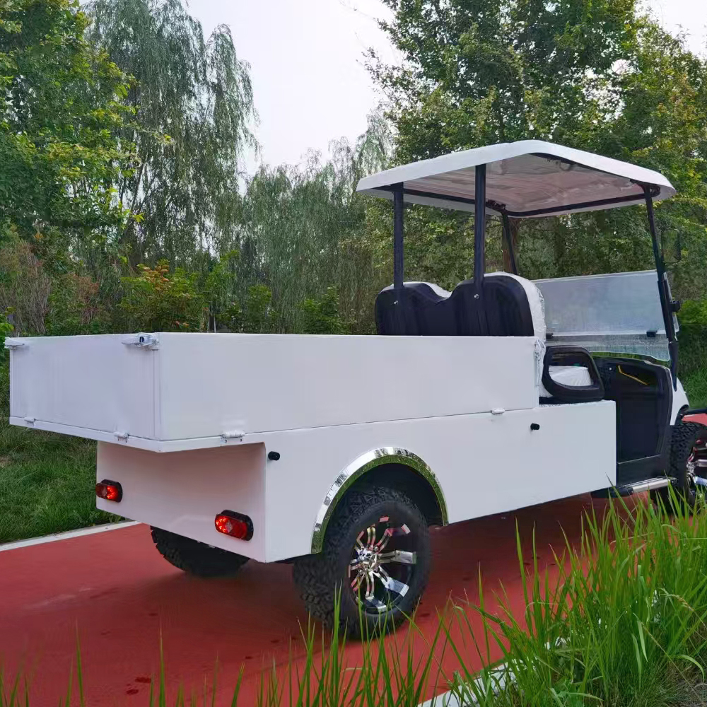 SEEWORLD Electric Golf Cart Cargo Box 2 Seater 3.5KW AC Motor 60V 100A Lead Acid Battery 30-50km/h Speed 70-90km Range CE