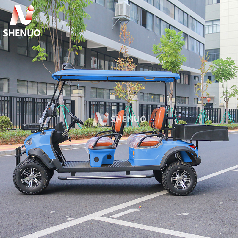 Certified Commercial Enclosure System Gas Powered Golf Cart Enclosed for Winter Resort Transport Fleets