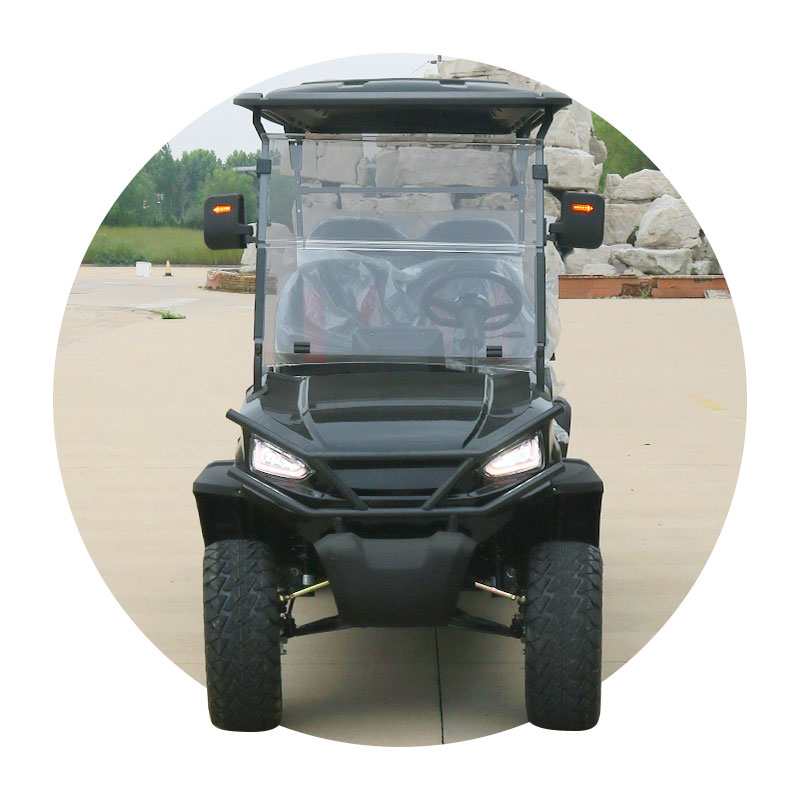 Electric Off-Road Golf Cart 2/4+2/6/8 Passenger Capacity Seats Golf Carts Buggy Scooter with Curtis
