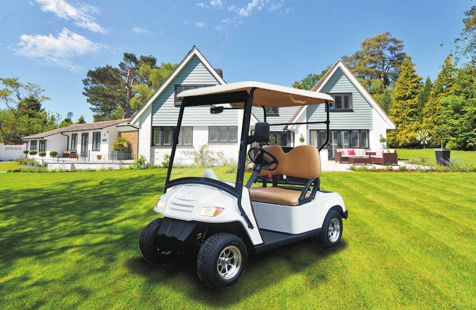 Custom golf cart design style 2