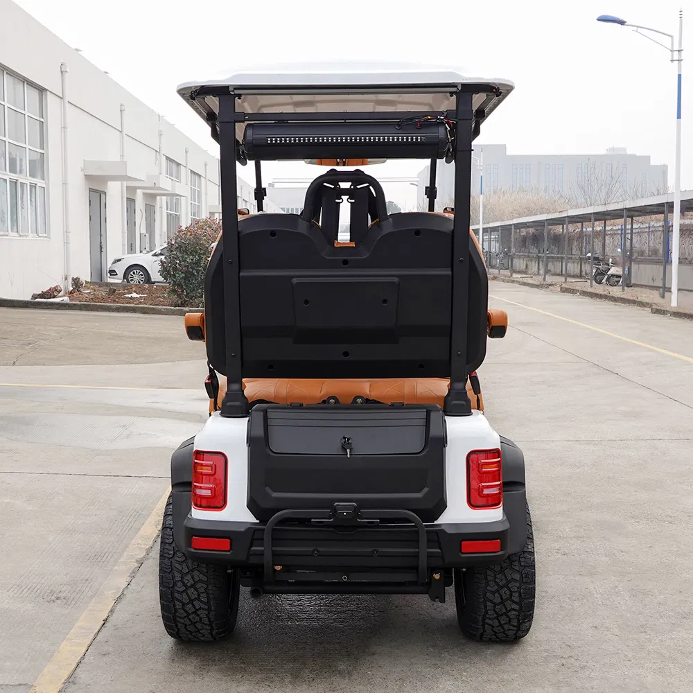 Premium Electric Golf Cart details 4