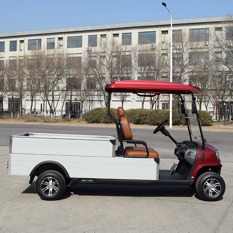 New Arrival Lifted Buggy for Sale Utility Vehicle Mini Truck With Cargo Box 48V Electric Golf Cart