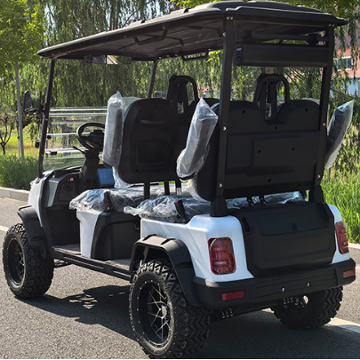 Four Seater Golf Cart Customizable Colors Seats Parts Lithium or Gas Options for Resorts Campus Shuttle Personal Use