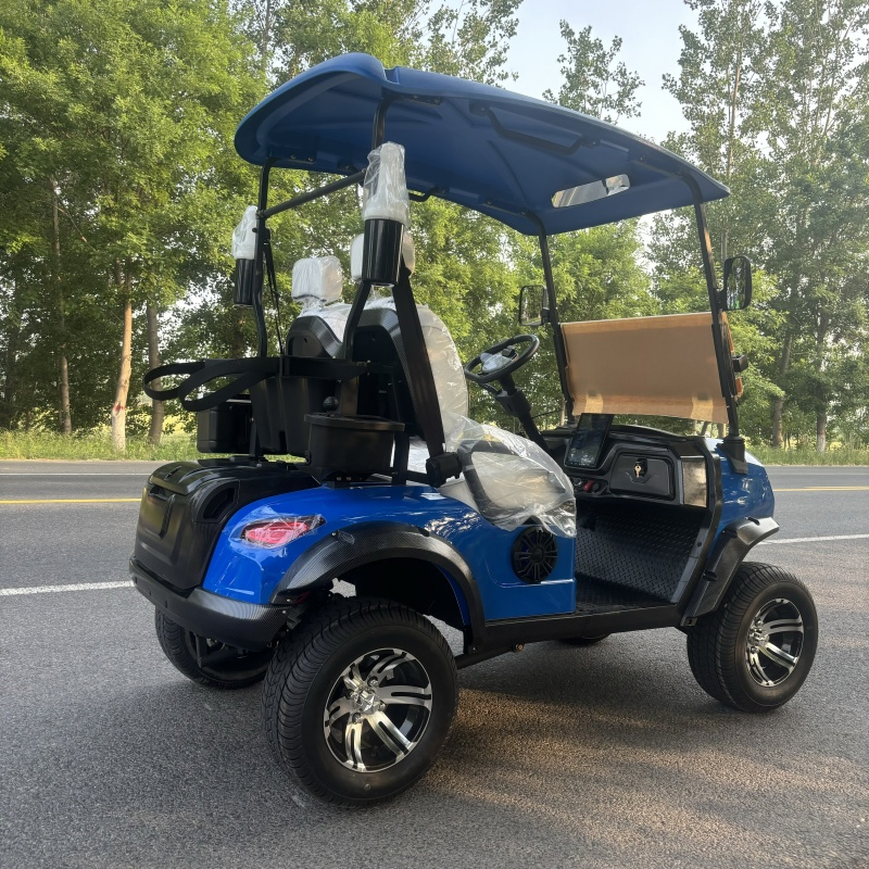 Chinese off Road Electric Folding Gocart 48V Electric Cart for Adults 72V 200ah Lithium Hunting Golf Carts Electric