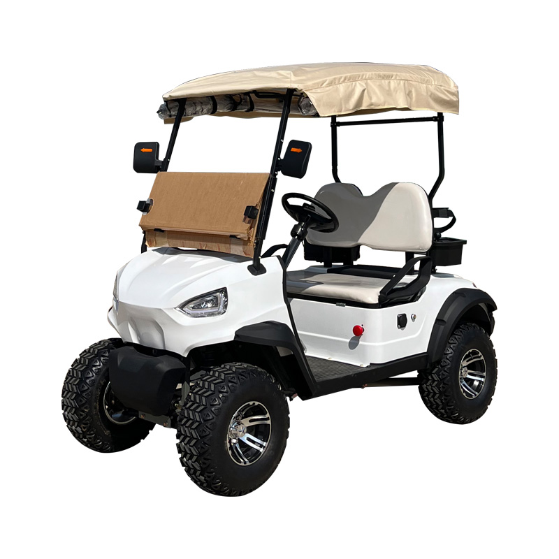 High - Quality Upgraded 2 - Seater Golf Cart: Ideal for Golf Courses and Large Park Lawn Mobility, with Customizable Exterior