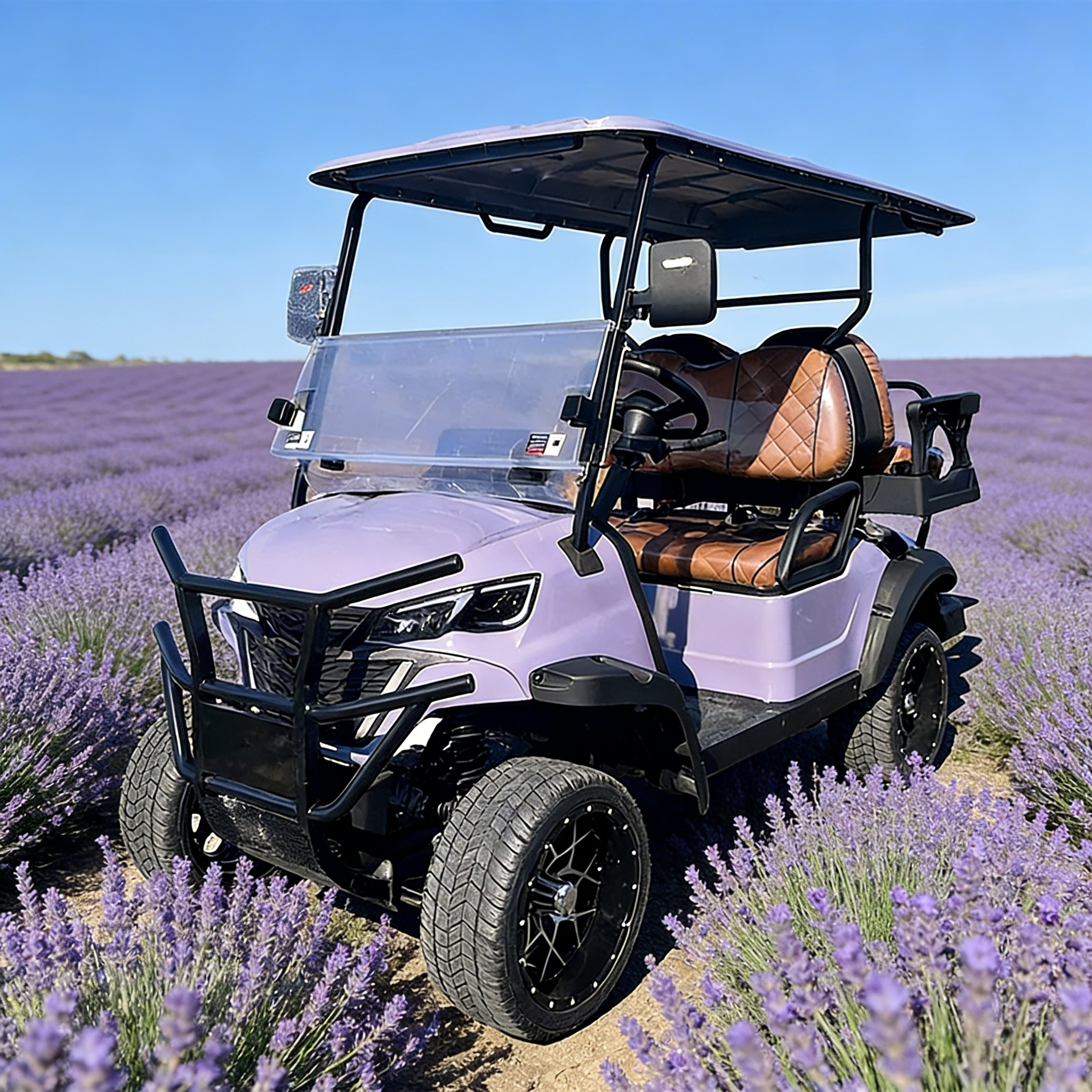 Electric Golf Cart With 250mm Ground Clearance For Street Legal Use And Customizable
