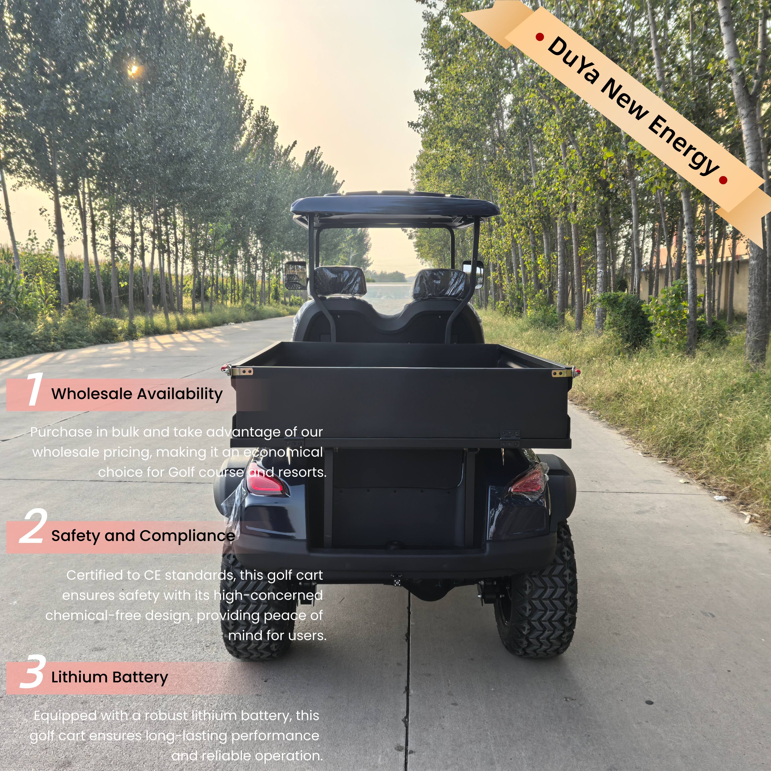 72V/48V Electric Lithium Battery Golf Cart Independent Suspension 2 Seats 30-50Km/h Speed 90km Range Imbor 3528 Controller 510kg