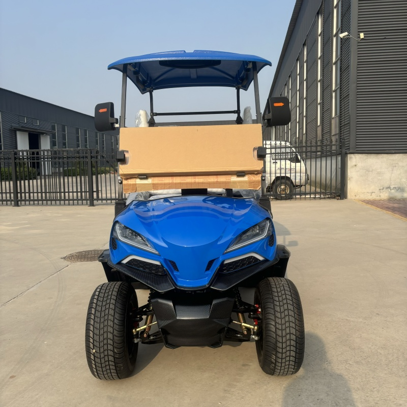 Chinese off Road Electric Folding Gocart 48V Electric Cart for Adults 72V 200ah Lithium Hunting Golf Carts Electric