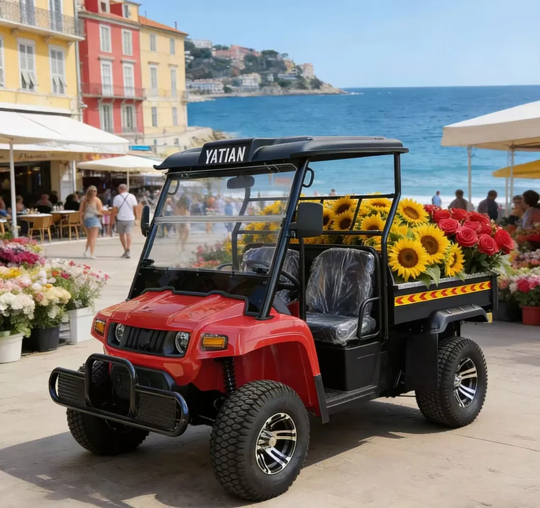 2 Seater Battery Powered 4 Wheel Utility UTV Vehicle