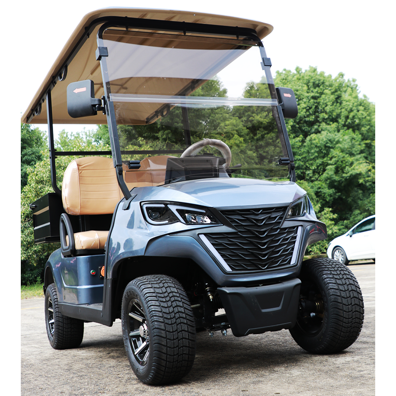 Eagle Luxury Chinese Ev Lithium Hunting off Road Golf Carts Mini 2 Seater Seat Electric Golf Cart