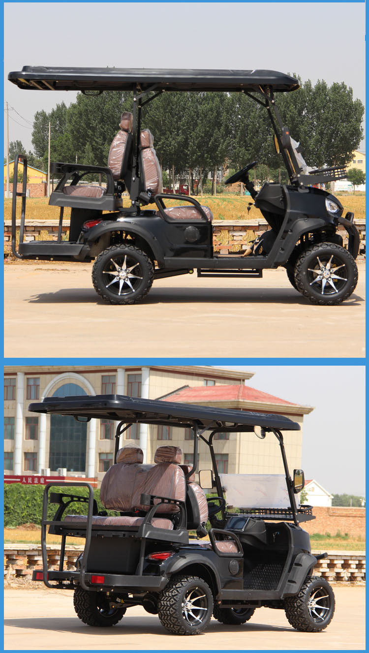 Electric Cart Customization