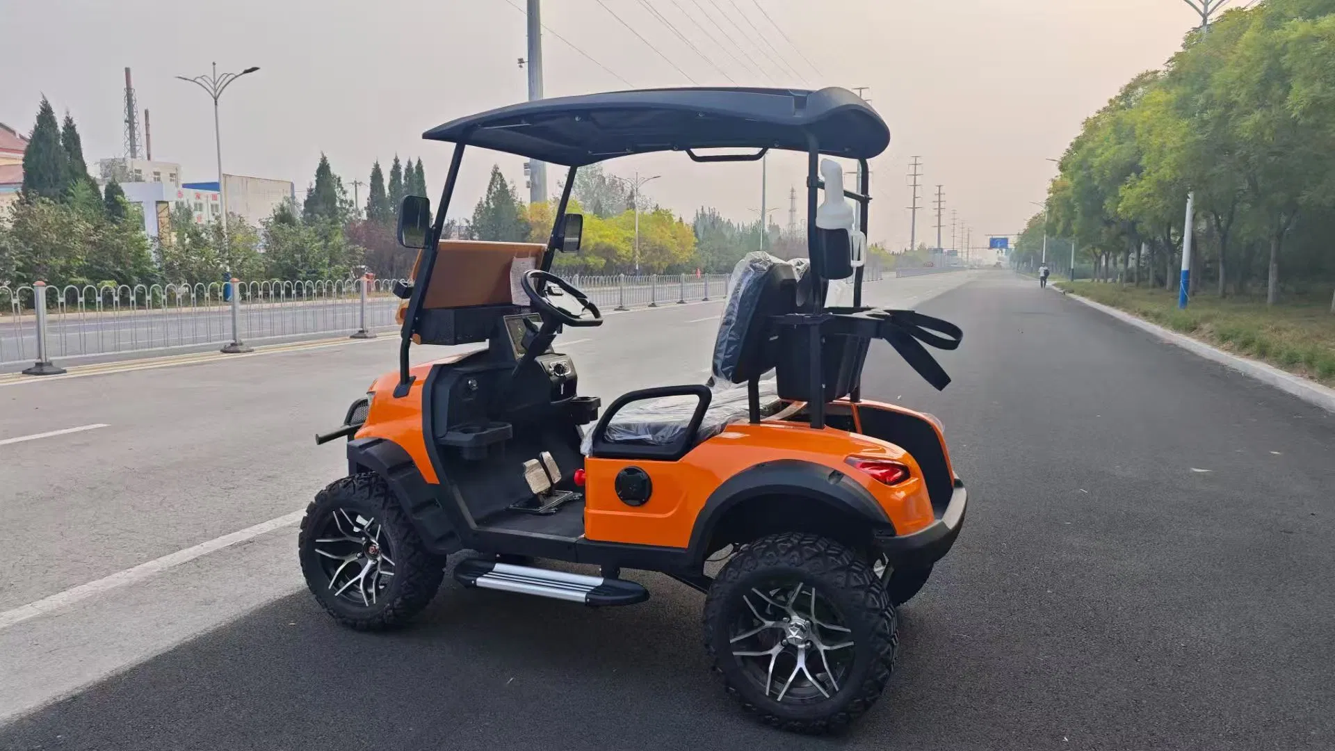 Multi-Color 2-Seater Electric Golf Cart Ideal for Hotel Shuttle Service