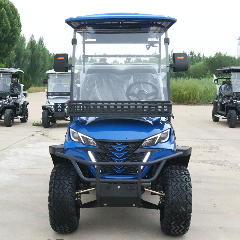 Direct Factory's Electric Golf Cart Customized Street Legal with Best Quality Custom Golf Cart