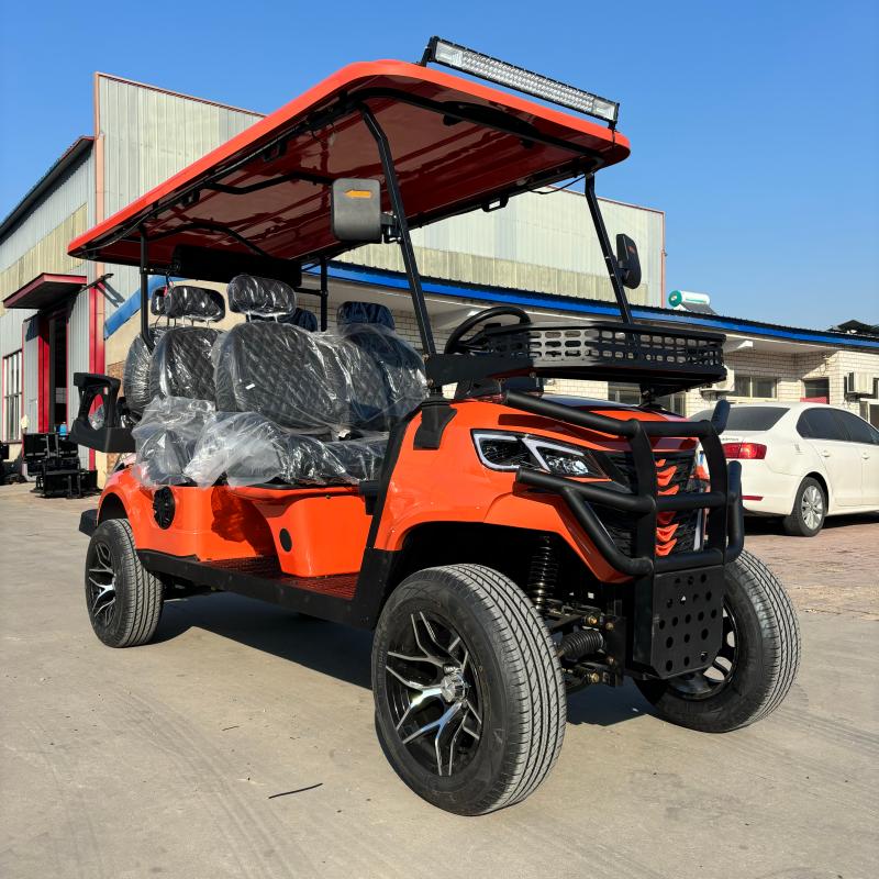Golf Cart Custom Color
