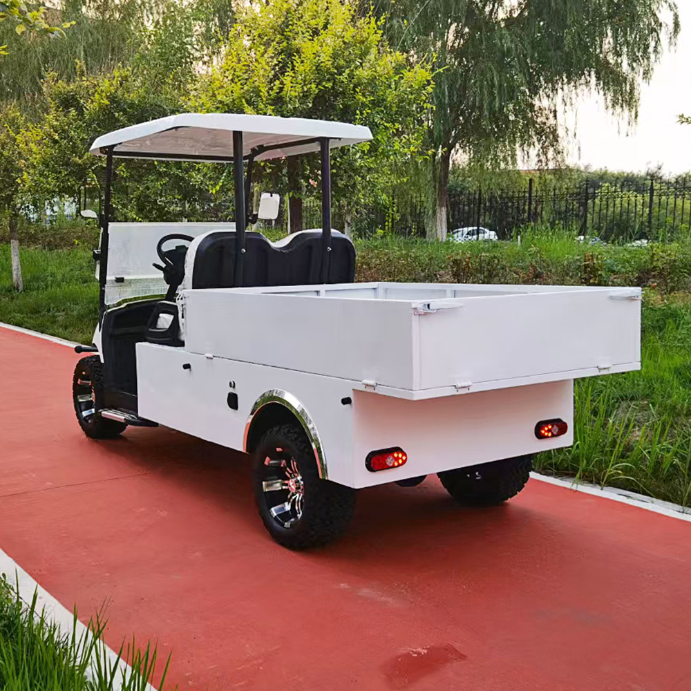 SEEWORLD Electric Golf Cart Cargo Box 2 Seater 3.5KW AC Motor 60V 100A Lead Acid Battery 30-50km/h Speed 70-90km Range CE