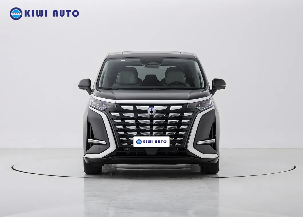 Tengshi D9 Phev Electric Auto Byd Denza D9 Dm China MPV Long Range New Used Vehicle