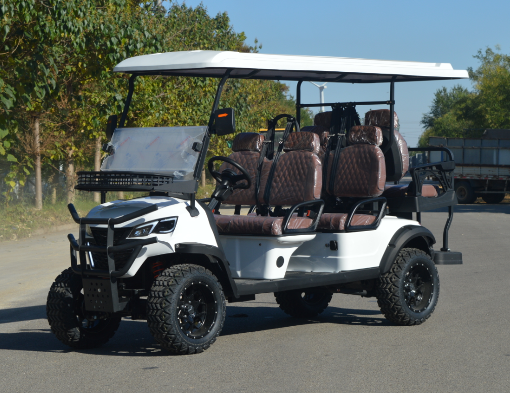 Multi-functional 6 Seater Electric Golf Carts with Adjustable Seats Support Customized Colors for Community Use