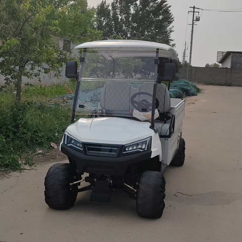 JG Off-Road 4-Stroke Gasoline Golf Cart 2-Seater Front Disc Brakes CE Certification 150-200mm Minimum Ground Clearance for