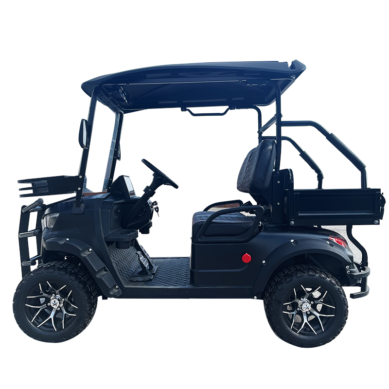 Electric UTV 4x4 Utility Golf Cart Street Legal 3500W Motor 30-50km/h 500kg Payload EEC Certified 48V Battery 50-70km 1-2 Seats