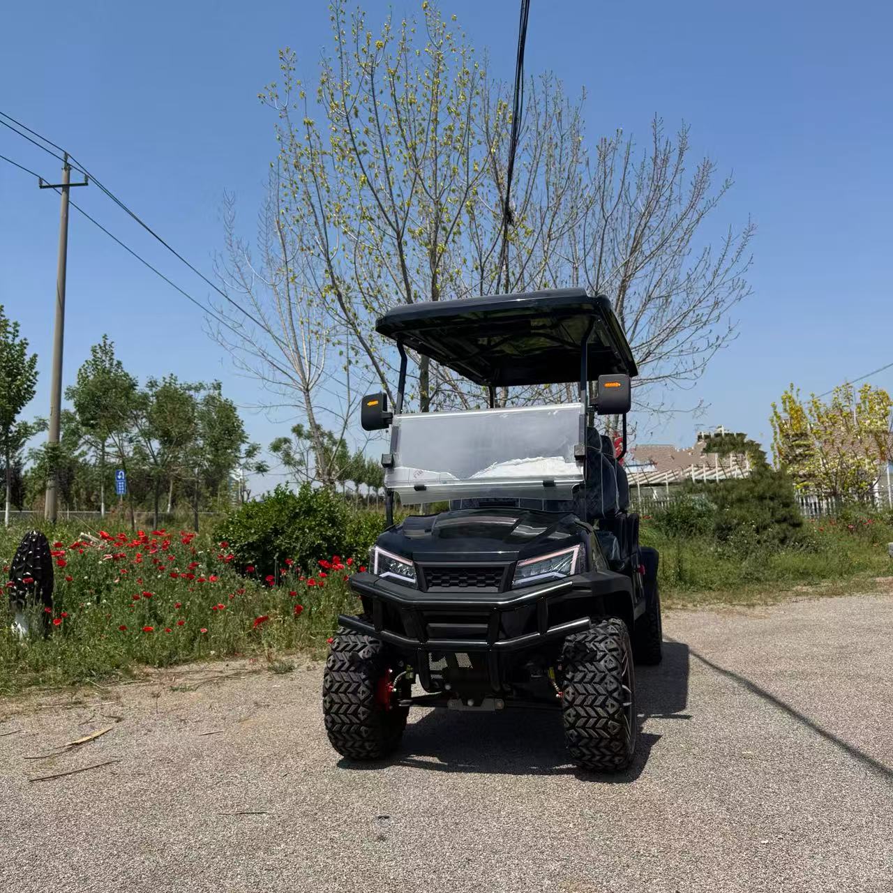 Commercial Golf Cart Fleet Vehicles Resorts Courses China Made