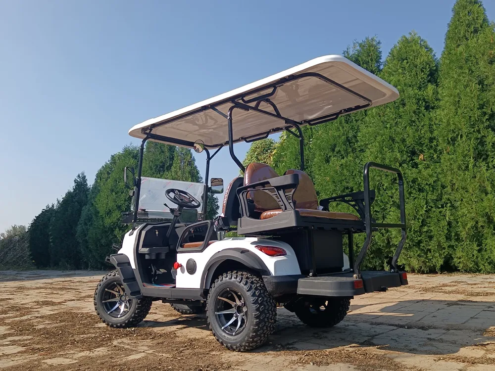 Electric Golf Cart View 4