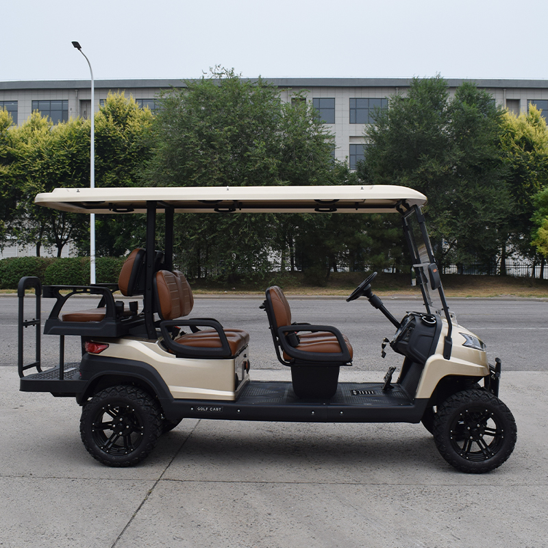 Electric Golf Cart