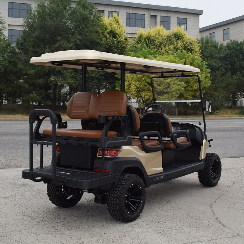 Electric Golf Cart