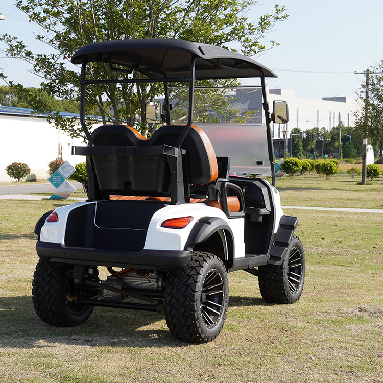 2 4 6 8 Seats Electric Car Hunting Golf Cart Electric Golf Scooter Off Roadgolf Cart
