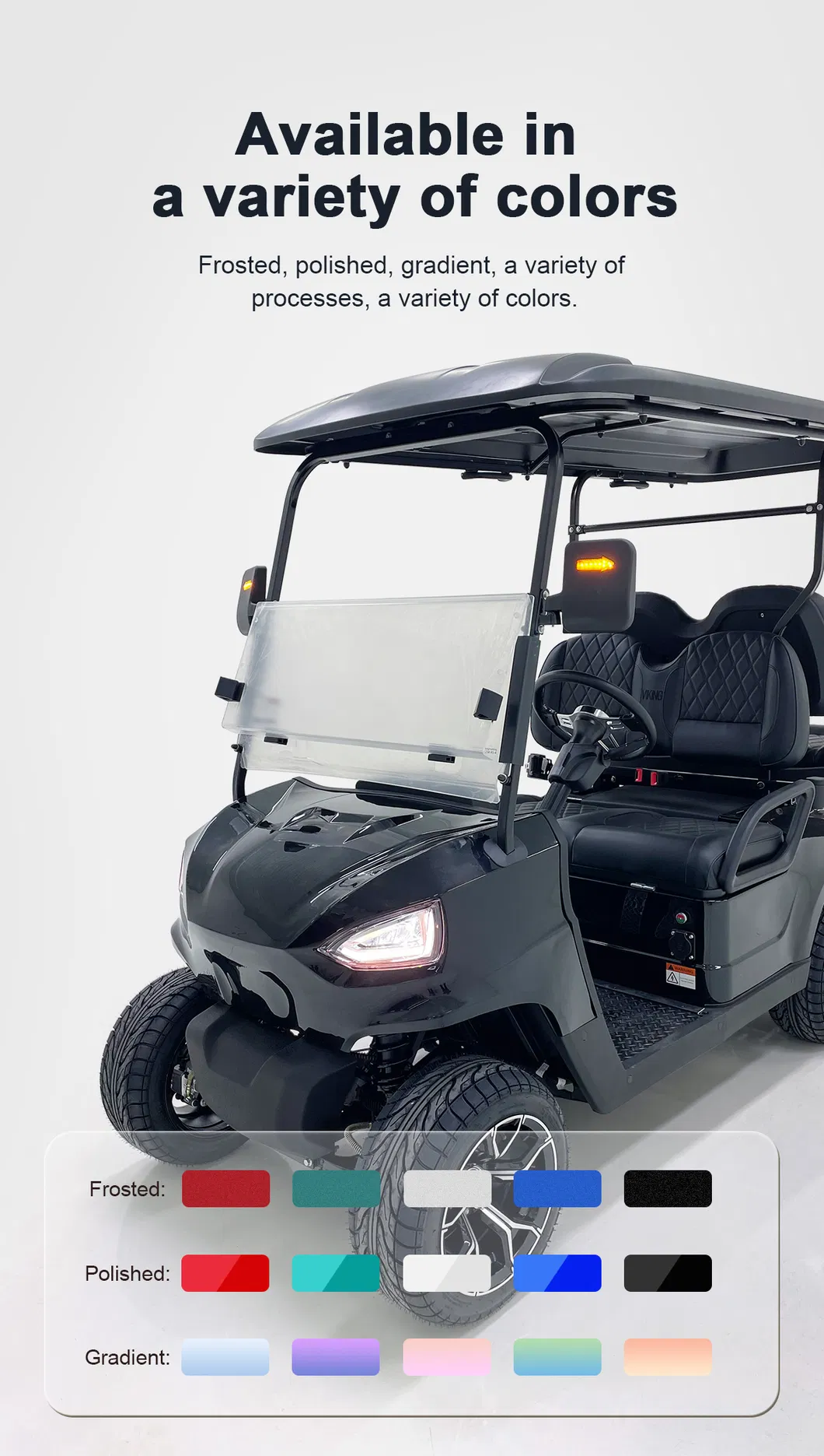 Stylish Look Anti - Roll Bars Electric Golf Cart for Camping Access