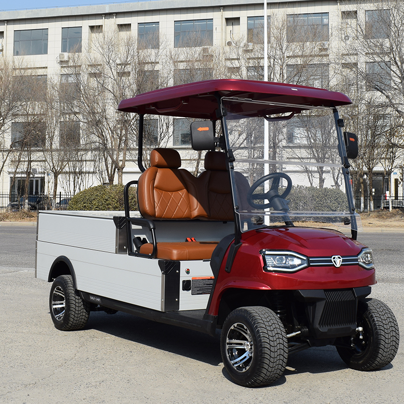New Arrival Lifted Buggy for Sale Utility Vehicle Mini Truck With Cargo Box 48V Electric Golf Cart