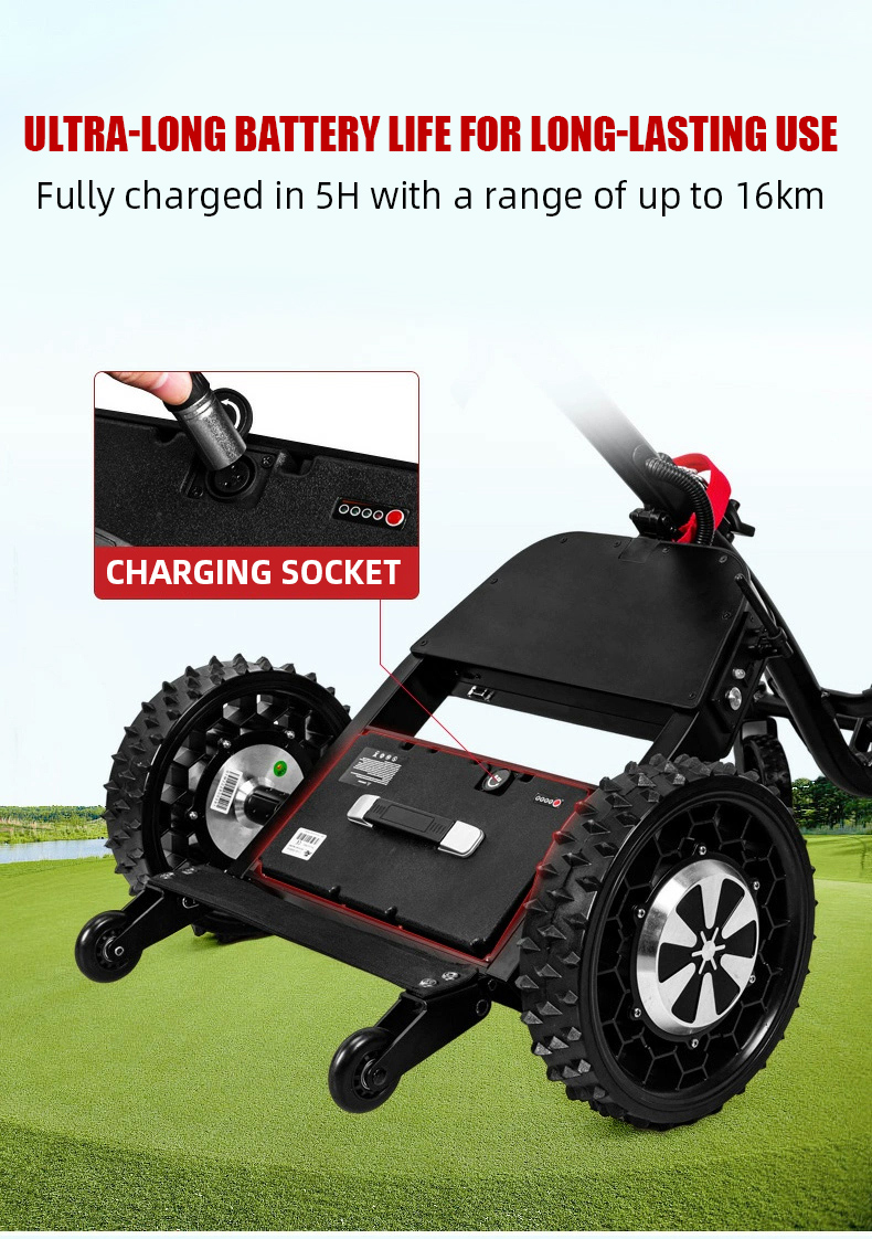Product View 8