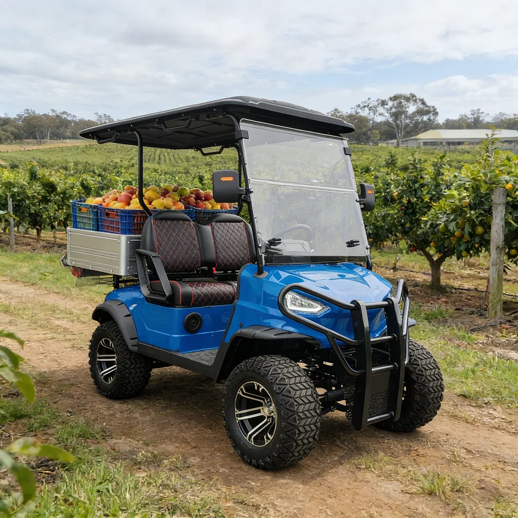 Gq22p 4X4 Electric UTV off-Road Utility Vehicle Detail 9
