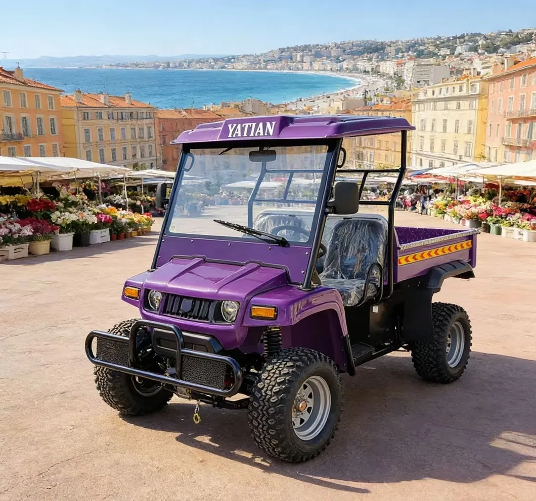2 Seater Battery Powered 4 Wheel Utility UTV Vehicle