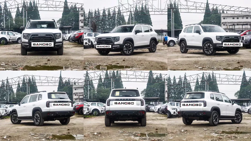 Haval Dargo Performance