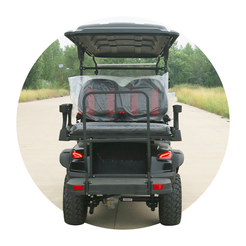 Electric Off-Road Golf Cart 2/4+2/6/8 Passenger Capacity Seats Golf Carts Buggy Scooter with Curtis