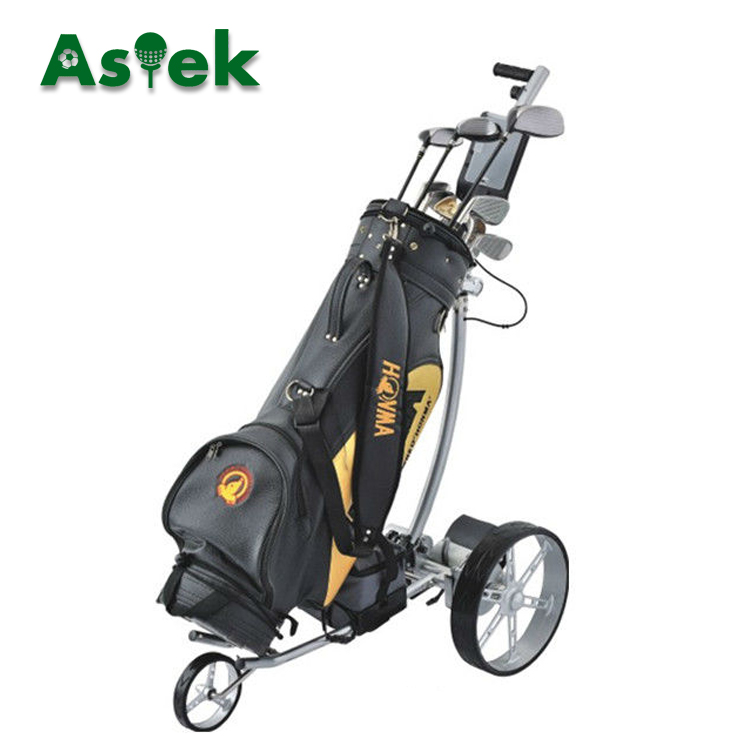 Used Aluminum Electric Custom Golf Carts for Sale