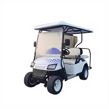 Used Electric Golf Cart 48V Battery Golf Buggy Passenger Utility Vehicle for Resorts 7-8 Seats 70-90km Range