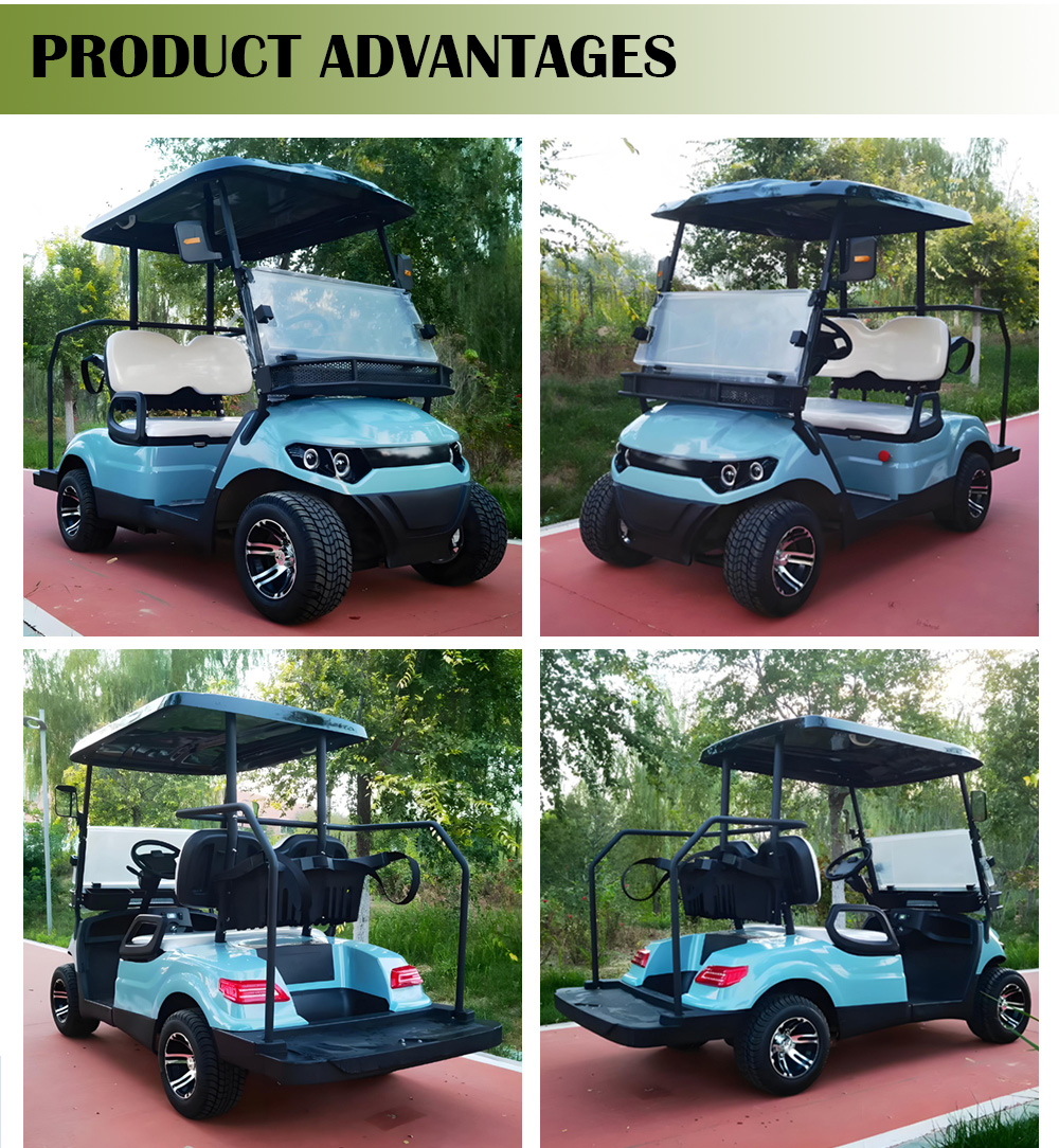 Golf Cart Detail 3